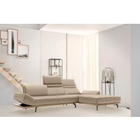 Creation BY ROLF BENZ Ecksofa "CR.420, Designecksofa, L-Form", in 2 Qualitäten, Holzrahmen in Eiche Natur oder Nußbaum, Breite 313 cm Creation BY ROLF BENZ Ecksofa "CR.420, Designecksofa, L-Form", in 2 Qualitäten, Holzrahmen in Eiche Natur oder Nußbaum, Breite 313 cm von Creation By Rolf Benz