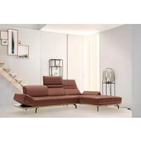 Creation BY ROLF BENZ Ecksofa "CR.420, Designecksofa, L-Form", in 2 Qualitäten, Holzrahmen in Eiche Natur oder Nußbaum, Breite 313 cm von Creation By Rolf Benz