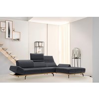 Creation BY ROLF BENZ Ecksofa "CR.420, Designecksofa, L-Form", in 2 Qualitäten, Holzrahmen in Eiche Natur oder Nußbaum, Breite 313 cm von Creation By Rolf Benz