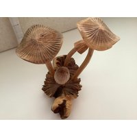 Absolut Fabelhaft Handgeschnitzte Multipilz 4Er Set .... Geschnitzt Aus Parasitholz Absolut Fabelhaft Handgeschnitzte Multipilz 4Er Set .... Geschnitzt Aus Parasitholz von Creationsbykandpj