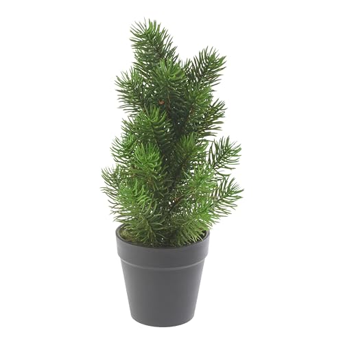 Edel Tannenbaum Rory im Topf 32cm hoch künstlicher Tannenbaum von Creativ Company