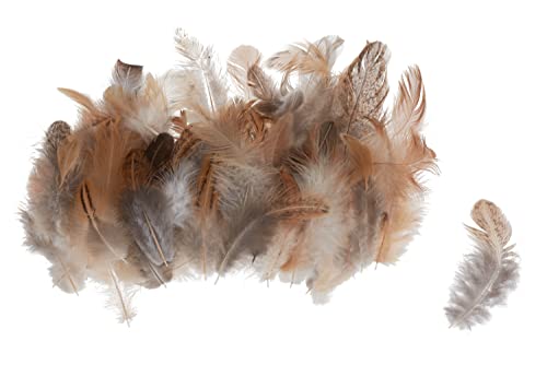 Hühnerfedern Federn "Natur braun" 3g Huhn Basteln Ostern DIY von Creativ Company
