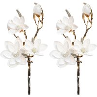 Creativ deco Kunstzweig "Weihnachtsdeko", Magnolie, 2er Set, mit 13 LEDs + beschneiter Optik, batteriebetrieben Creativ deco Kunstzweig "Weihnachtsdeko", Magnolie, 2er Set, mit 13 LEDs + beschneiter Optik, batteriebetrieben von Creativ Deco