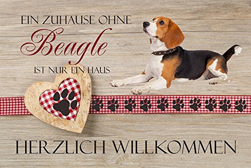 Crealuxe Fussmatte – “ EIN Zuhause ohne Beagle ist nur EIN Haus “ - 60x40 cm - Gummi Rückseite / rutschfest - Filzoberfläche - Bedruckte Türmatte - Innenmatte - Schmutzmatte von Creativ Deluxe