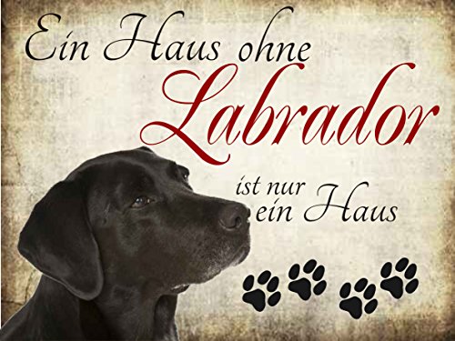 Creativ Deluxe EIN Haus ohne Labrador ist nur EIN Haus Hundeschild/Hundedeko/Metallschild/Blechschild/Dekoschild/Wandschild/wetterfest/Innenbereich/Außenbereich/Motivation/Vintage von Creativ Deluxe