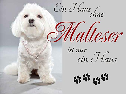 Creativ Deluxe EIN Haus ohne Malteser ist nur EIN Haus Hundeschilder, Hundedeko, Hund Türschilder, Wandschilder, Spruchschild Hund, Hundesprüche von Creativ Deluxe