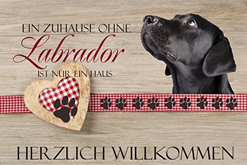 Creativ Deluxe Türschild/Wandschild-hochglänzend und Kratzfest - EIN Zuhause ohne Labrador ist nur EIN Haus Geschenkdeko von Creativ Deluxe