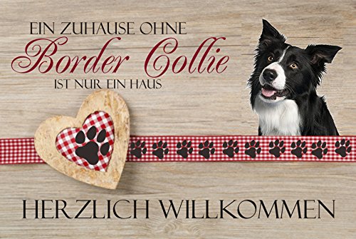 Fussmatte - EIN Zuhause ohne Border Collie ist nur EIN Haus - Fussmatte Bedruckt Türmatte Innenmatte Schmutzmatte lustige Motivfussmatte von Creativ Deluxe