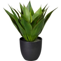 Creativ green Künstliche Zimmerpflanze "Agave" von Creativ Green