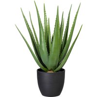 Creativ green Künstliche Zimmerpflanze "Aloe" von Creativ Green