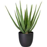Creativ green Künstliche Zimmerpflanze "Aloe" von Creativ Green