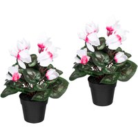 Creativ green Künstliche Zimmerpflanze "Alpenveilchen", 2er Set von Creativ Green