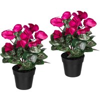 Creativ green Künstliche Zimmerpflanze "Alpenveilchen", 2er Set von Creativ Green
