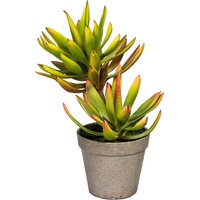 Creativ green Künstliche Zimmerpflanze "Deko-Sukkulente Aloe plicatilis" von Creativ Green