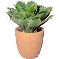 Creativ green Künstliche Zimmerpflanze "Echeveria im Terracottatopf" von Creativ Green