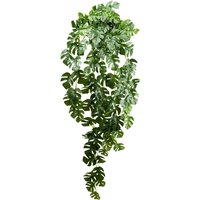 Creativ green Künstliche Zimmerpflanze "Splitphilodendron-Hängepflanze" mit zahlreichen Blättern Creativ green Künstliche Zimmerpflanze "Splitphilodendron-Hängepflanze" mit zahlreichen Blättern von Creativ Green