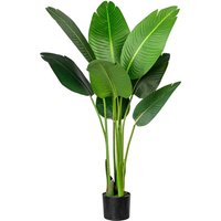 Creativ green Künstliche Zimmerpflanze "Strelitzia" von Creativ Green