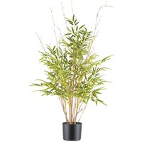 Creativ green Kunstbambus "Bambus", mit Naturstamm Creativ green Kunstbambus "Bambus", mit Naturstamm von Creativ Green