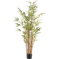 Creativ green Kunstbambus "Bambus vulgaris" mit Naturstamm von Creativ Green