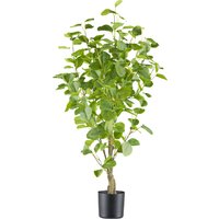 Creativ green Kunstbaum "Eukalyptus", mit sehr naturgetreu gestalteten Blättern Creativ green Kunstbaum "Eukalyptus", mit sehr naturgetreu gestalteten Blättern von Creativ Green