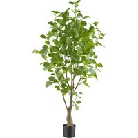 Creativ green Kunstbaum "Eukalyptus", mit sehr naturgetreu gestalteten Blättern Creativ green Kunstbaum "Eukalyptus", mit sehr naturgetreu gestalteten Blättern von Creativ Green