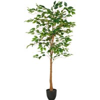 Creativ green Kunstbaum "Ficus Benjamina", mit naturgetreuem Blattwerk und Stamm Creativ green Kunstbaum "Ficus Benjamina", mit naturgetreuem Blattwerk und Stamm von Creativ Green