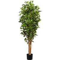 Creativ green Kunstbaum "Ficus Benjamini" von Creativ Green