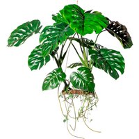 Creativ green Kunstbaum "Hängeobjekt Splitphilodendron" Creativ green Kunstbaum "Hängeobjekt Splitphilodendron" von Creativ Green