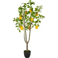 Creativ green Kunstbaum "Zitrone" mit detailgetreuer Gestaltung Creativ green Kunstbaum "Zitrone" mit detailgetreuer Gestaltung von Creativ Green