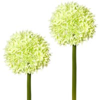 Creativ green Kunstblume, 2er Set Creativ green Kunstblume, 2er Set von Creativ Green