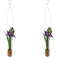 Creativ green Kunstblume "Hyacinthe in Hängevase" von Creativ Green