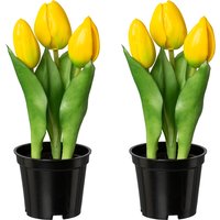 Creativ green Kunstblume "Tulpe", mit real-touch-Blüten von Creativ Green