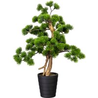 Creativ green Kunstbonsai "Bonsai Kiefer" von Creativ Green