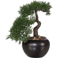 Creativ green Kunstbonsai "Bonsai Zeder im Keramiktopf" von Creativ Green