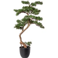 Creativ green Kunstbonsai "Bonsai Zeder" Creativ green Kunstbonsai "Bonsai Zeder" von Creativ Green