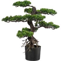 Creativ green Kunstbonsai "Bonsai" Creativ green Kunstbonsai "Bonsai" von Creativ Green