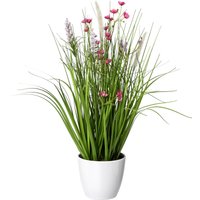 Creativ green Kunstgras "Blüten-Gras-Mix" in weißer Kunststoffschale Creativ green Kunstgras "Blüten-Gras-Mix" in weißer Kunststoffschale von Creativ Green