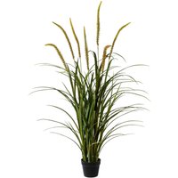 Creativ green Kunstgras "Grasbusch Miscanthus im Topf" von Creativ Green