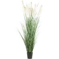 Creativ green Kunstgras "Pampasgras" mit fünf Pampasgrasblüten von Creativ Green