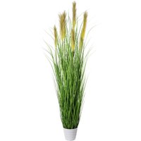 Creativ green Kunstgras Creativ green Kunstgras von Creativ Green