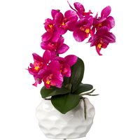 Creativ green Kunstorchidee "Deko-Orchidee Phalaenopsis im Keramiktopf" von Creativ Green