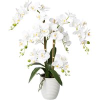 Creativ green Kunstorchidee "Deko-Orchidee Phalaenopsis im Keramiktopf" von Creativ Green