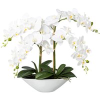 Creativ green Kunstorchidee "Deko-Orchidee Phalaenopsis in Keramikschale" Creativ green Kunstorchidee "Deko-Orchidee Phalaenopsis in Keramikschale" von Creativ Green