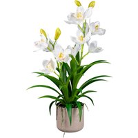Creativ green Kunstorchidee "Orchidee Cymbidie", mit traumhaft schönen Blüten Creativ green Kunstorchidee "Orchidee Cymbidie", mit traumhaft schönen Blüten von Creativ Green