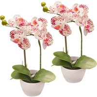 Creativ green Kunstorchidee "Orchidee Phalaenopsis", im Design-Topf von Creativ Green