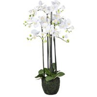 Creativ green Kunstorchidee "Orchidee Phalaenopsis", im Erdballen und mit real-touch-Blüten von Creativ Green