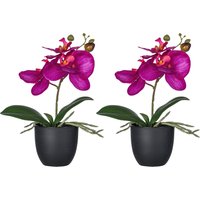 Creativ green Kunstorchidee "Orchidee Phalaenopsis", mit naturgetreuen Blüten von Creativ Green
