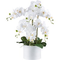 Creativ green Kunstorchidee "Orchidee Phalaenopsis", mit real-touch-Blüten Creativ green Kunstorchidee "Orchidee Phalaenopsis", mit real-touch-Blüten von Creativ Green