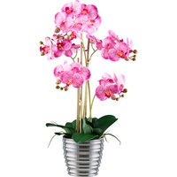 Creativ green Kunstorchidee "Orchidee Phalaenopsis", mit silberfarbenem Keramiktopf Creativ green Kunstorchidee "Orchidee Phalaenopsis", mit silberfarbenem Keramiktopf von Creativ Green