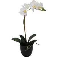 Creativ green Kunstorchidee "Orchidee Phalaenopsis" mit täuschend echten Blüten Creativ green Kunstorchidee "Orchidee Phalaenopsis" mit täuschend echten Blüten von Creativ Green